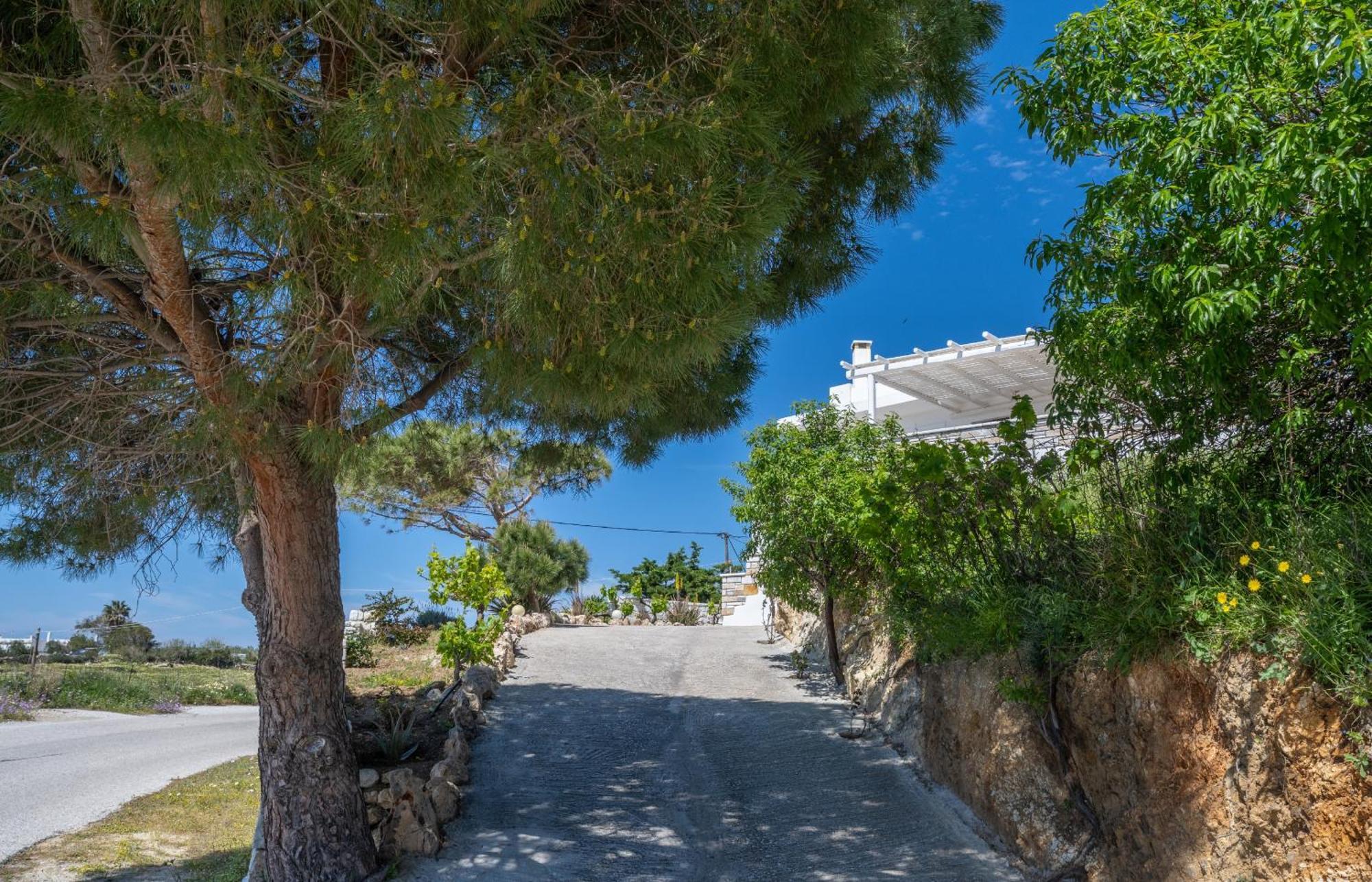 Apartment 'sophie's Villa' Akrotiri (Naxos)